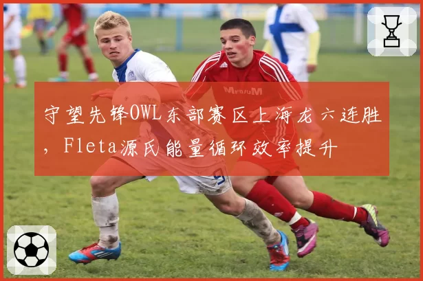 守望先锋OWL东部赛区上海龙六连胜，Fleta源氏能量循环效率提升